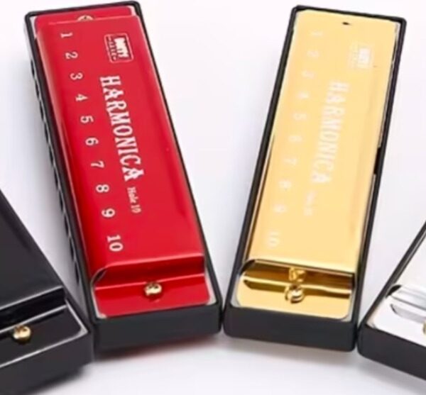 DMTS Harmonica 10 Hole Multi Color Shiny ...