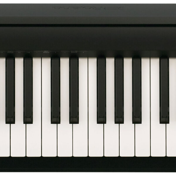 Roland FP-10 88-Key Digital Piano