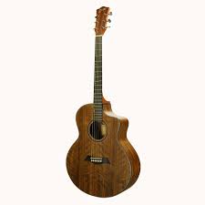 Deviser LS-150N-40 Semi Acoustic Guitar